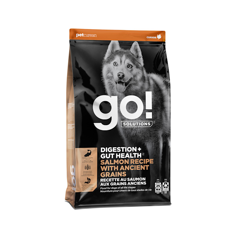 GO! Solutions Digestion + Gut Health Salmon Dry Dog Food with Grains